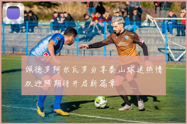 佩德罗阿尔瓦罗分享泰山球迷热情欢迎照期待开启新篇章
