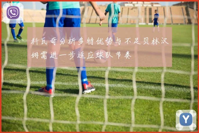 科瓦奇分析多特优势与不足贝林汉姆需进一步适应球队节奏