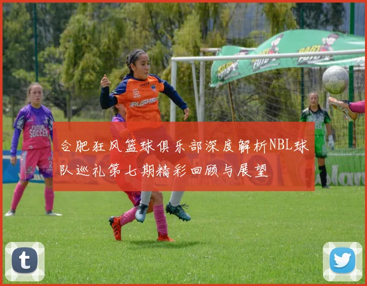 合肥狂风篮球俱乐部深度解析NBL球队巡礼第七期精彩回顾与展望