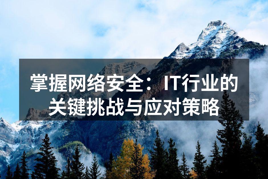 掌握网络安全:IT行业的关键挑战与应对策