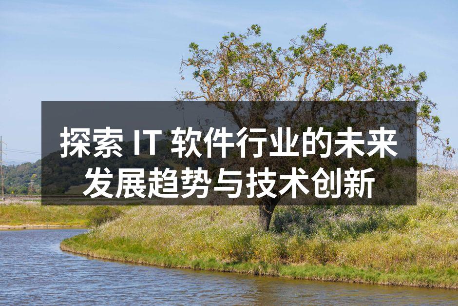 探索 IT 软件行业的未来发展趋势与技术